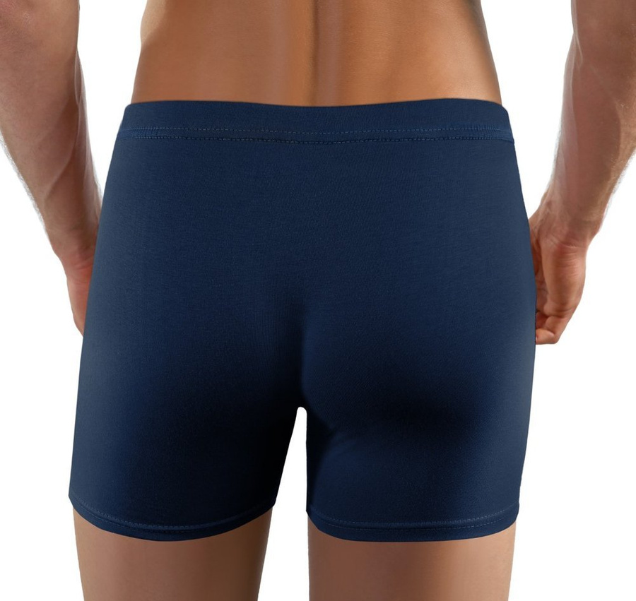 Lizard Bărbați bumbac Boxer Shorts