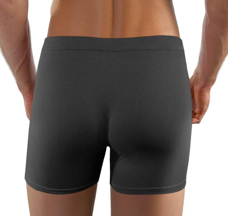 Lizard Bărbați bumbac Boxer Shorts