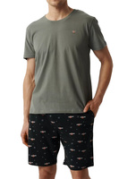 verde || negru