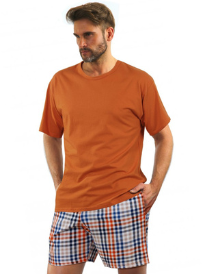 Piżama Męska Krótki Rękaw 2556/10