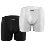 Pantaloni scurți Boxer 2-Pack pentru bărbați Lizard