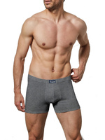 Pantaloni scurți pentru bărbați cu cauciuc exterior Art 573 Grey Navigare
