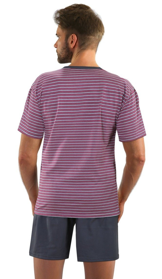 Piżama Męska Krótki Rękaw 2556/10