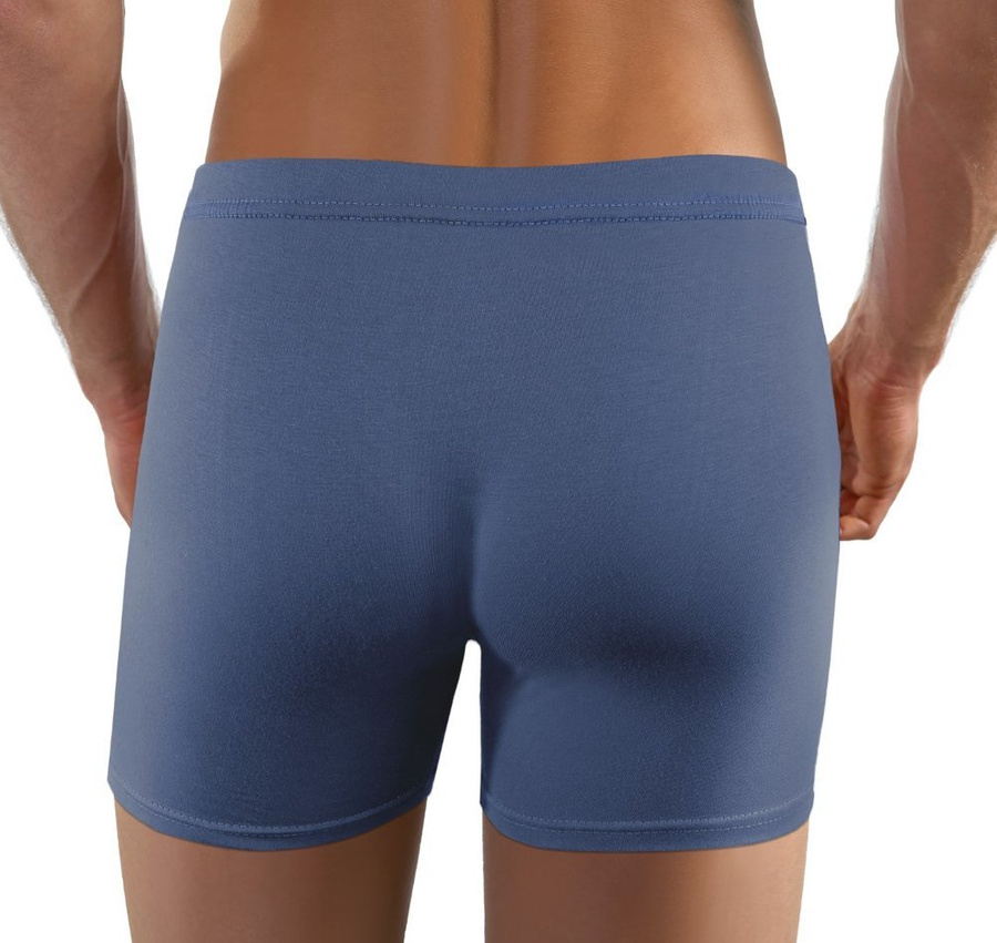 Lizard Bărbați bumbac Boxer Shorts